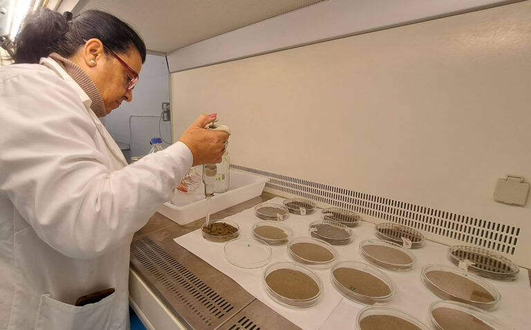 Así nace ROMO: fermentación, vida y equilibrio para la agricultura